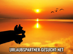 reisebegleiter finden